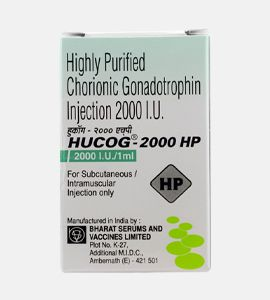 hocog-2000.jpg